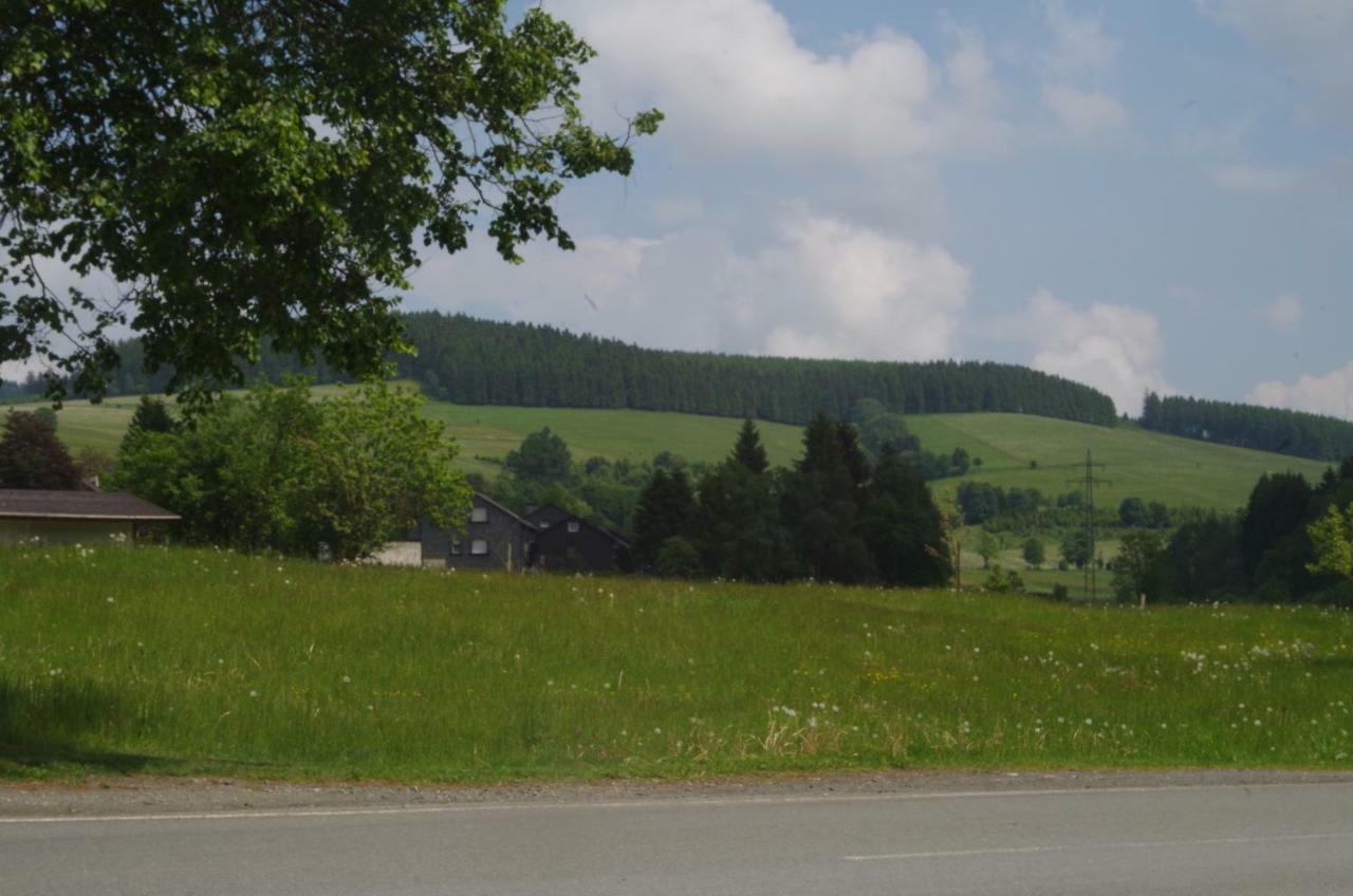 Apartamento Das Gelbe Haus 3 Winterberg Exterior foto